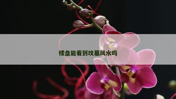 楼盘能看到坟墓风水吗
