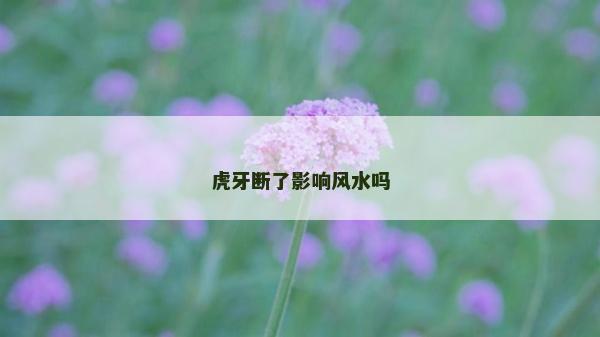 虎牙断了影响风水吗