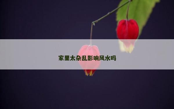 家里太杂乱影响风水吗