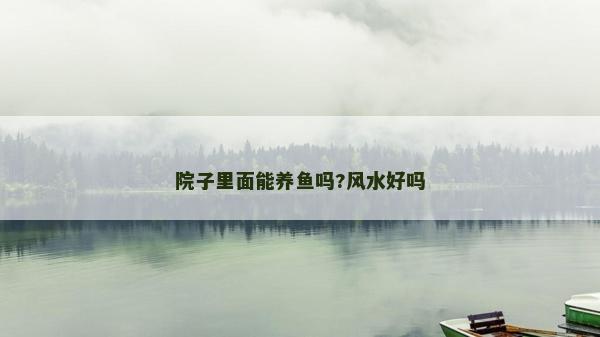 院子里面能养鱼吗?风水好吗