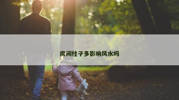 房间柱子多影响风水吗