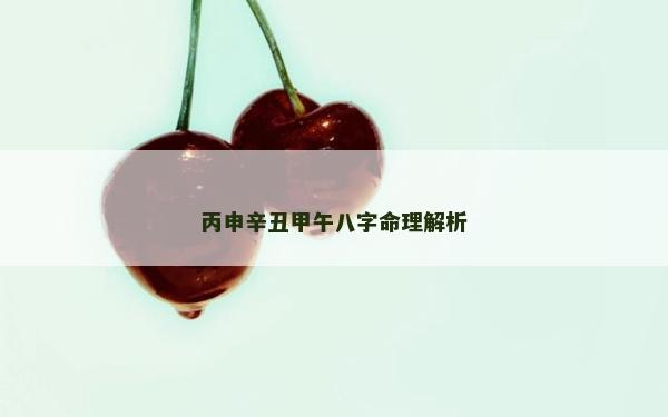 丙申辛丑甲午八字命理解析