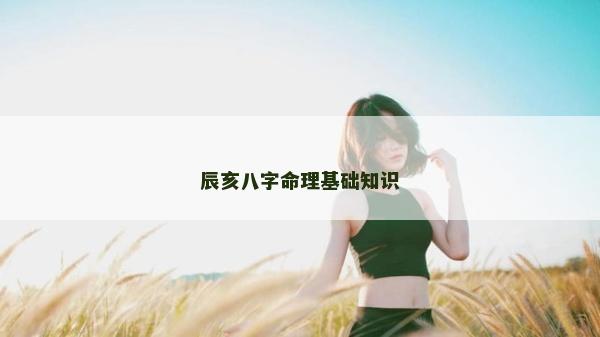 辰亥八字命理基础知识