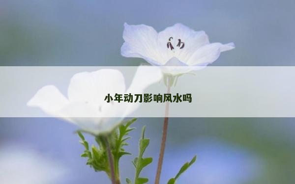 小年动刀影响风水吗