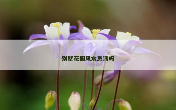 别墅花园风水忌讳吗