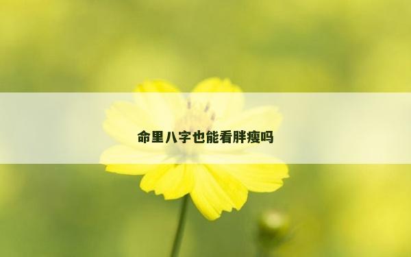 命里八字也能看胖瘦吗