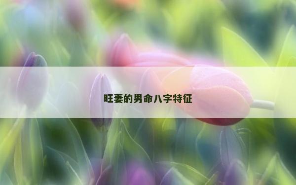 旺妻的男命八字特征