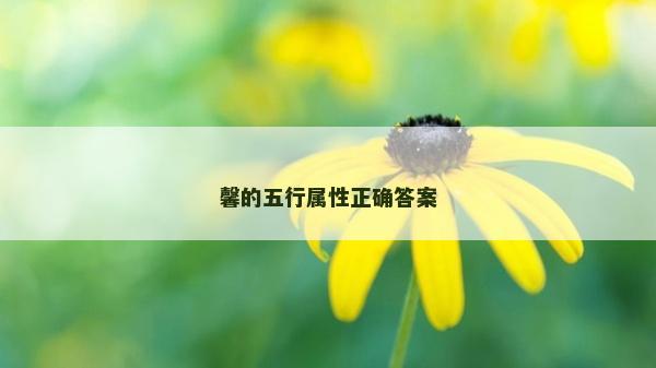馨的五行属性正确答案