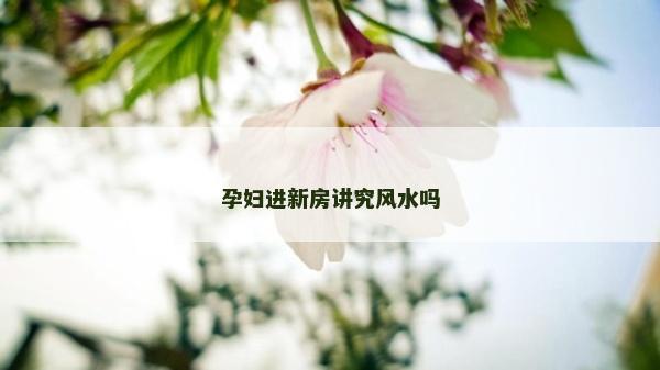 孕妇进新房讲究风水吗
