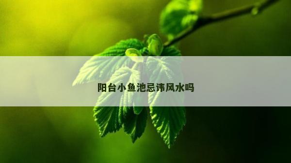 阳台小鱼池忌讳风水吗