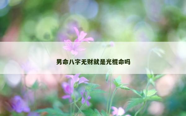 男命八字无财就是光棍命吗
