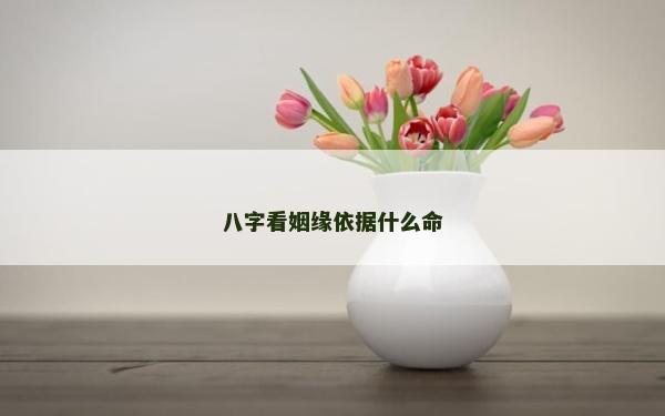 八字看姻缘依据什么命