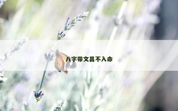 八字带文昌不入命