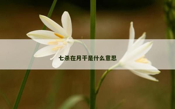 七杀在月干是什么意思