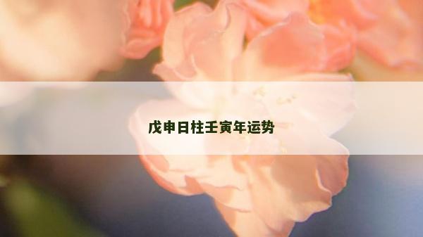 戊申日柱壬寅年运势