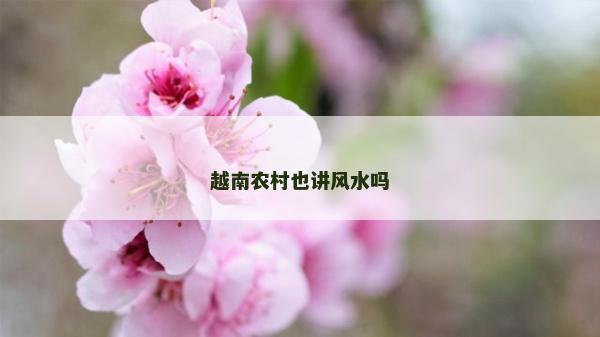 越南农村也讲风水吗