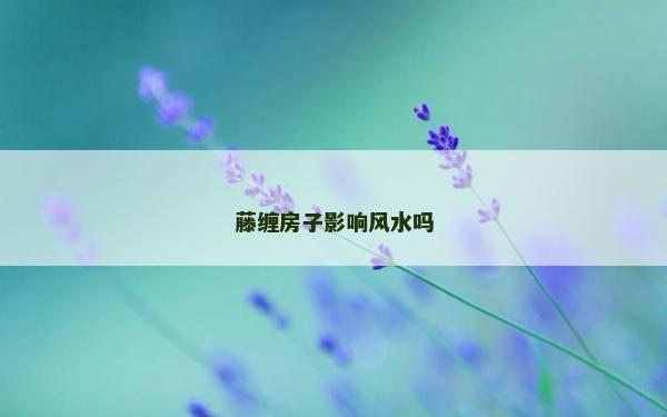藤缠房子影响风水吗