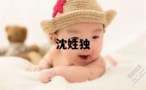 沈姓独特优美的男宝宝名字