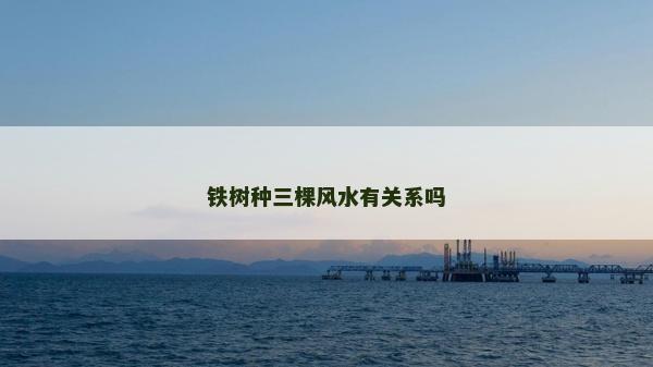 铁树种三棵风水有关系吗