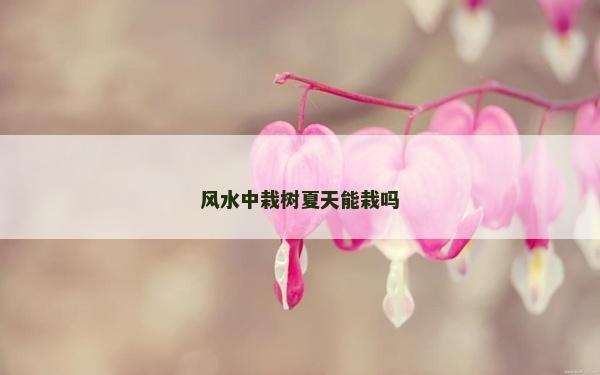 风水中栽树夏天能栽吗