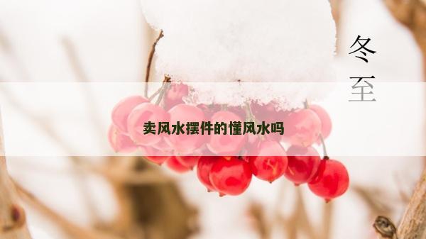 卖风水摆件的懂风水吗