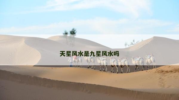 天星风水是九星风水吗