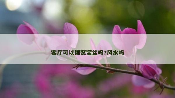 客厅可以摆聚宝盆吗?风水吗