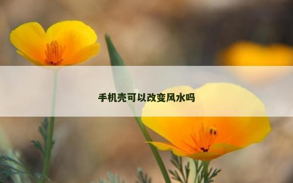 手机壳可以改变风水吗