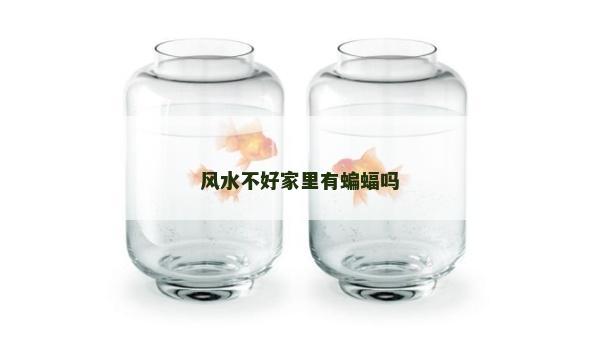 风水不好家里有蝙蝠吗