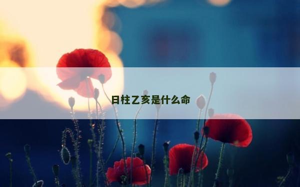 日柱乙亥是什么命