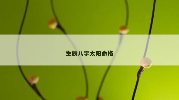 生辰八字太阳命格