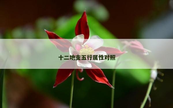 十二地支五行属性对照