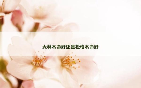 大林木命好还是松柏木命好