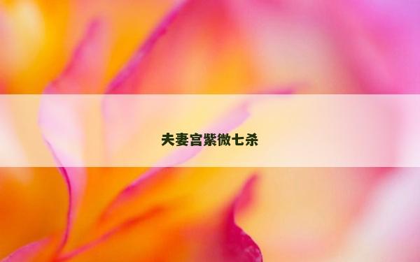 夫妻宫紫微七杀