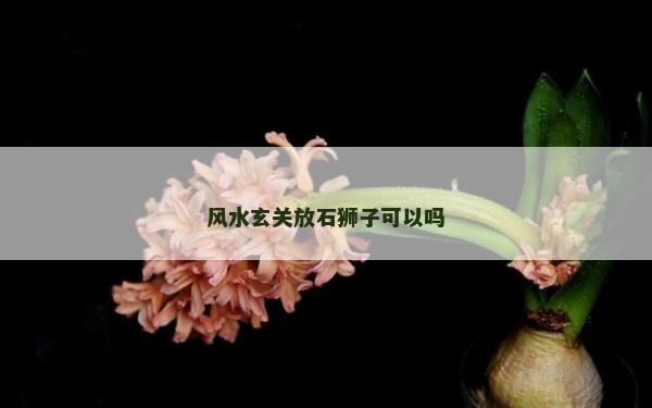 风水玄关放石狮子可以吗