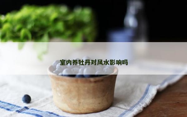 室内养牡丹对风水影响吗
