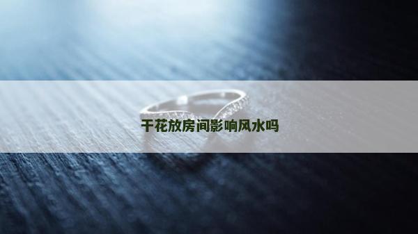 干花放房间影响风水吗