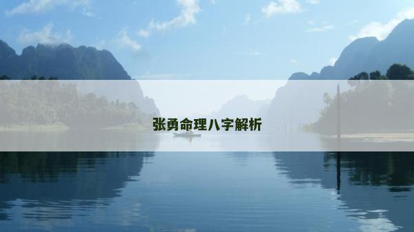 张勇命理八字解析
