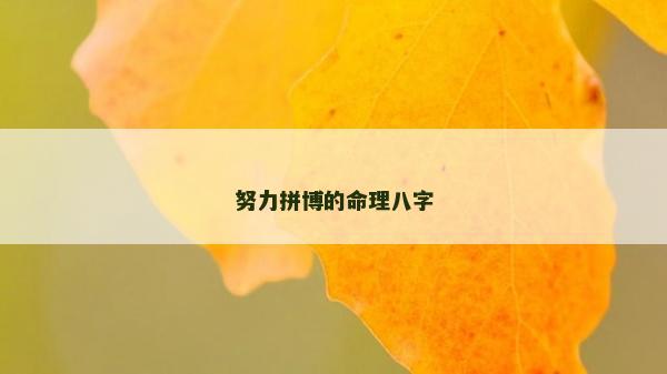 努力拼博的命理八字