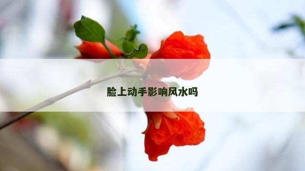 脸上动手影响风水吗