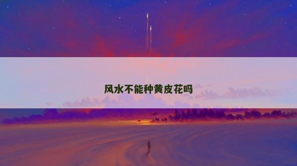 风水不能种黄皮花吗