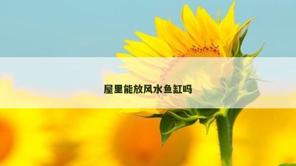 屋里能放风水鱼缸吗