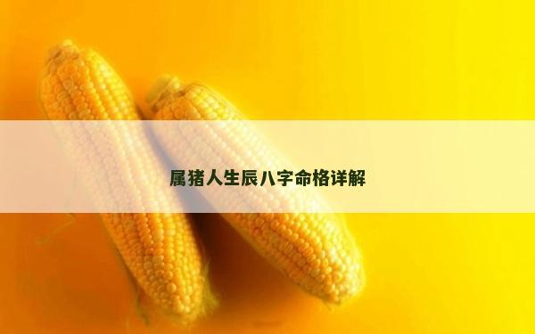 属猪人生辰八字命格详解