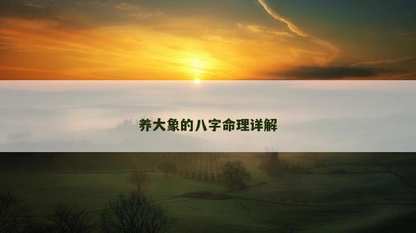 养大象的八字命理详解