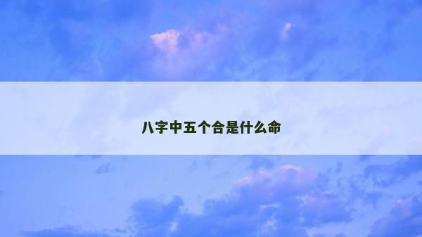 八字中五个合是什么命