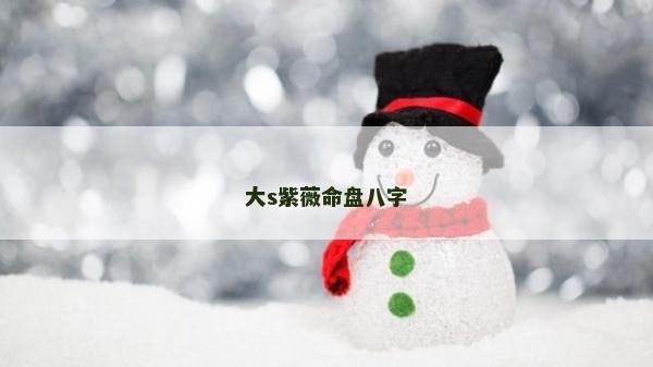 大s紫薇命盘八字