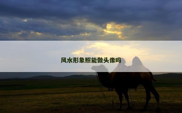风水形象照能做头像吗