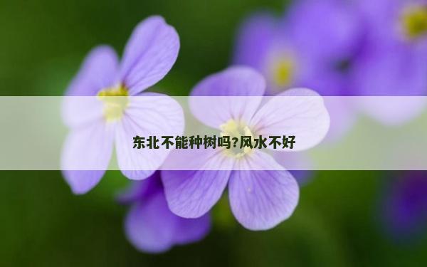 东北不能种树吗?风水不好