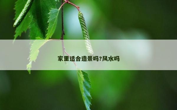 家里适合造景吗?风水吗