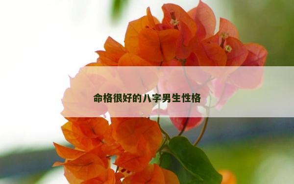 命格很好的八字男生性格